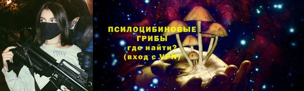 стаф Кукмор