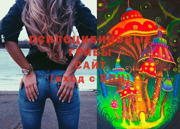 стаф Кукмор