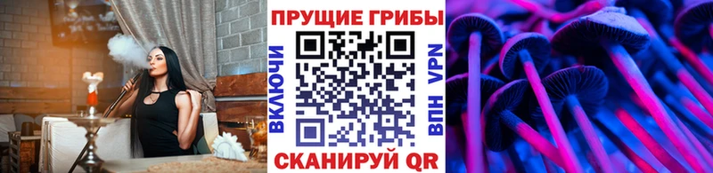 Псилоцибиновые грибы Psilocybe  Новочеркасск 