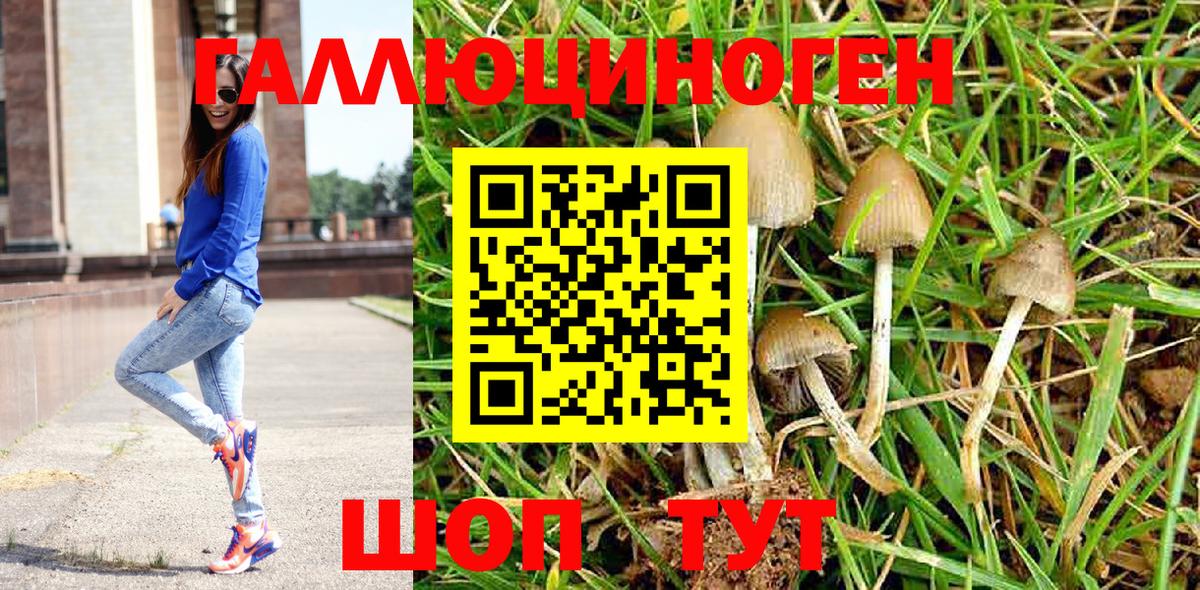 Псилоцибиновые грибы MAGIC MUSHROOMS Новочеркасск